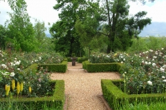 Garden Images