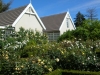 photo_16