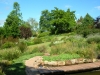 photo_19
